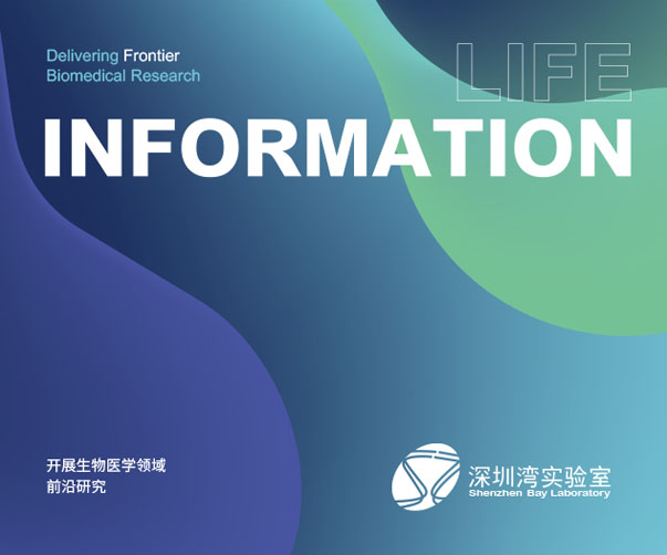 上海品牌設計公司打造的會務公司品牌視覺系統
